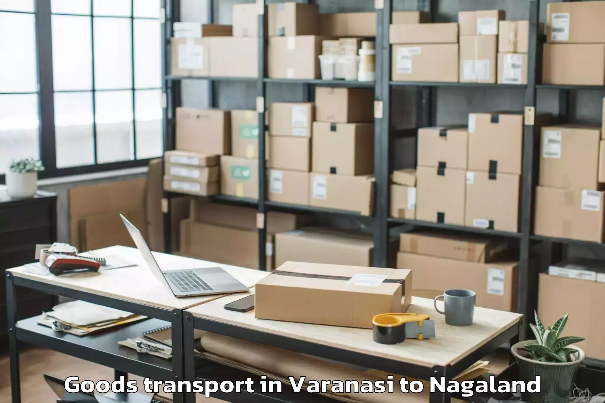 Expert Varanasi to Kebai Khelma Goods Transport